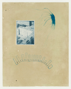 Det har blivit mörkt i fogen så jag släpper nu