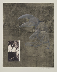 Oj, jag tappade min morot