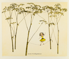 Season of Seeking Balance