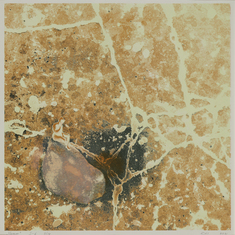 Timelessness: Starting point