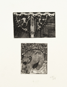 Björn och borttappad