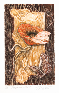 Poppy and butterfly