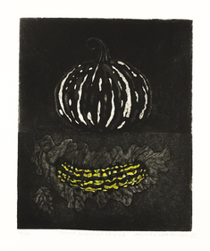 Bland pumpor och kålblad