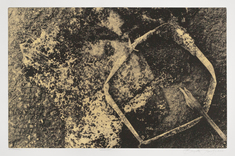 Ground I   (sepia)