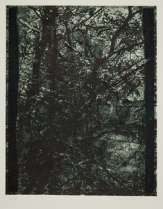 Mats Wilhelmsson