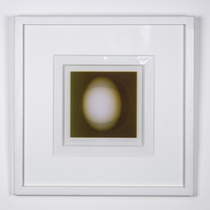 Ova Optica 2