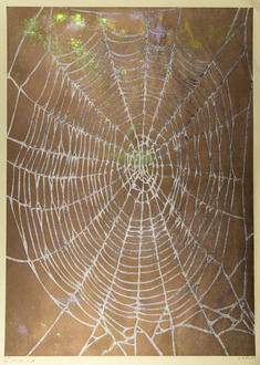 Big Web  (copper on black with glitter)