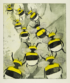 Humleflykt