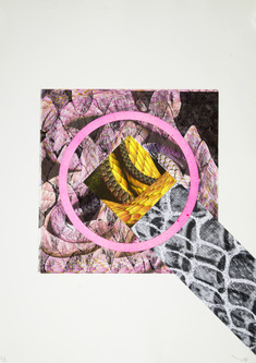 SCALES