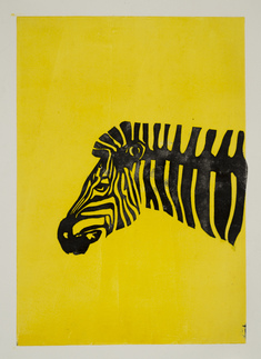 Zebra