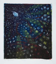 Process G 521