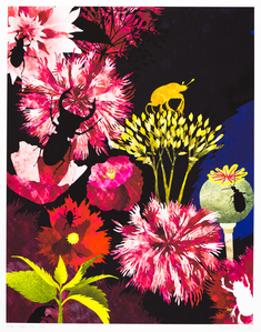 Natt i Botaniska