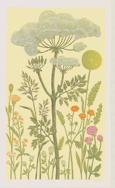 Ängsblomster*