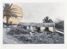 Sun over Palm House, La Gomera
