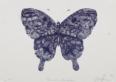 Barboleta esferográfia