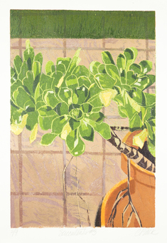 Succulents #3