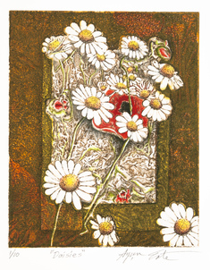 Aysen Erte