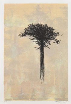 Single tree