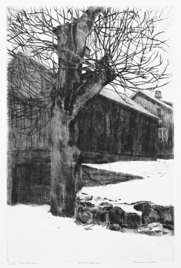 Gamla källaren