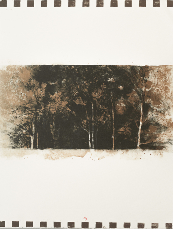Brun skogskant (1)