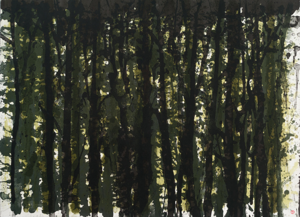 Lövskog (12)