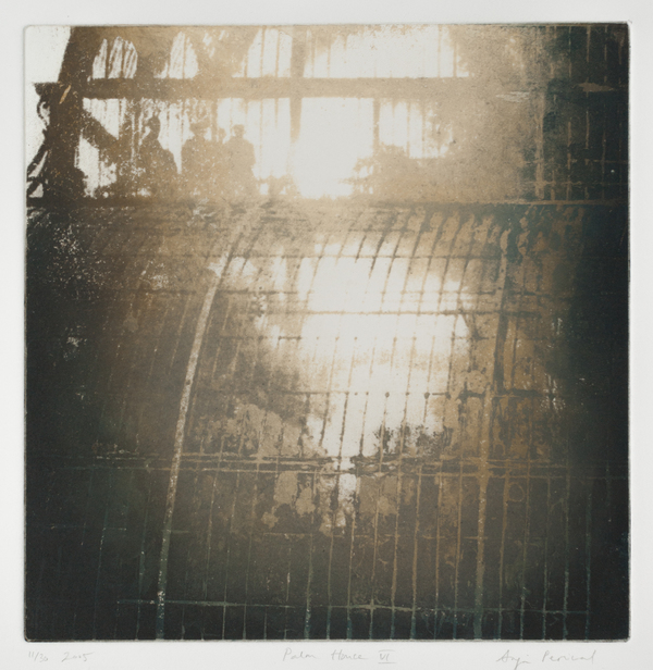 Palm house VI