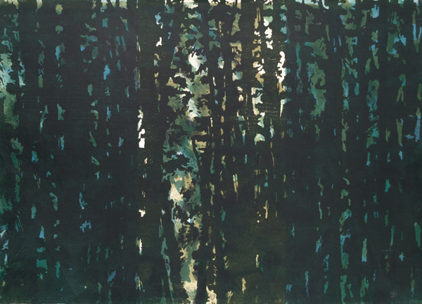 Liten glänta (11)