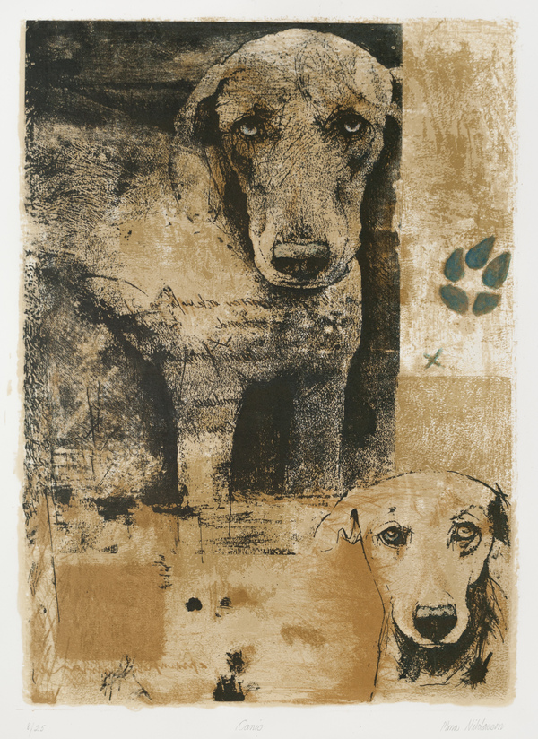 Canis
