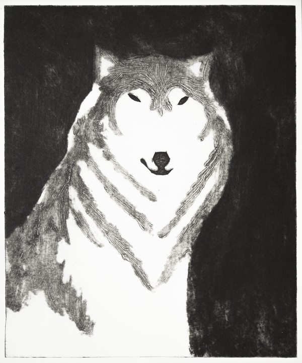 The Wolves: Varg 9