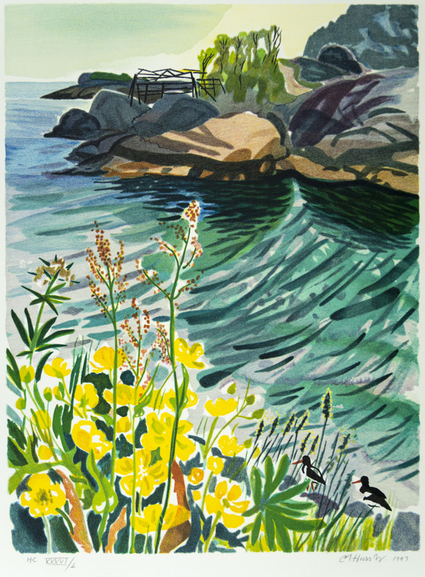 Havsvik i Lofoten