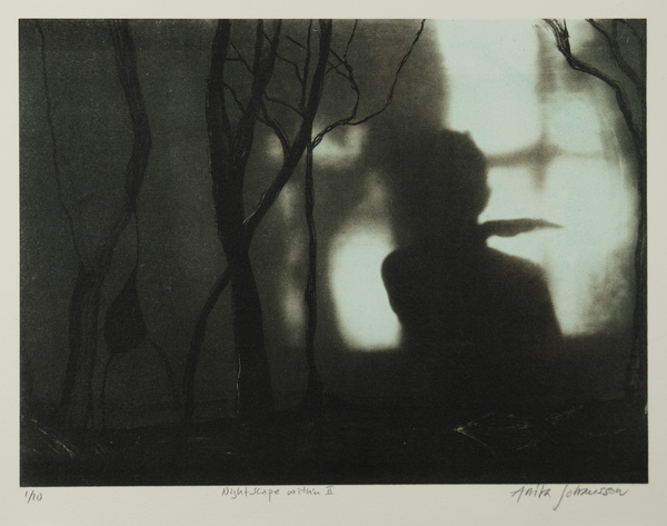 Nightscape within II