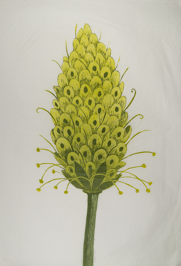 Gräsblomma (tidigare