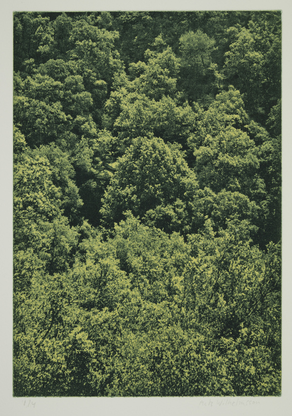 Lövskog
