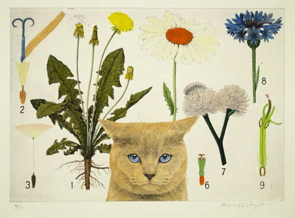 utan titel (katt framför blomplansch)