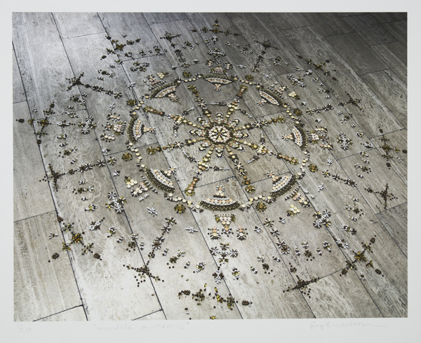 Mandala of vitamins