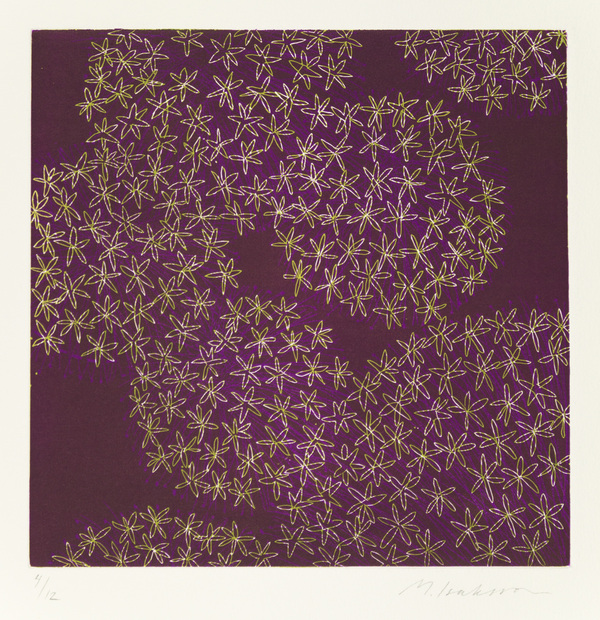 Allium