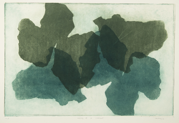 memory of a continent 2