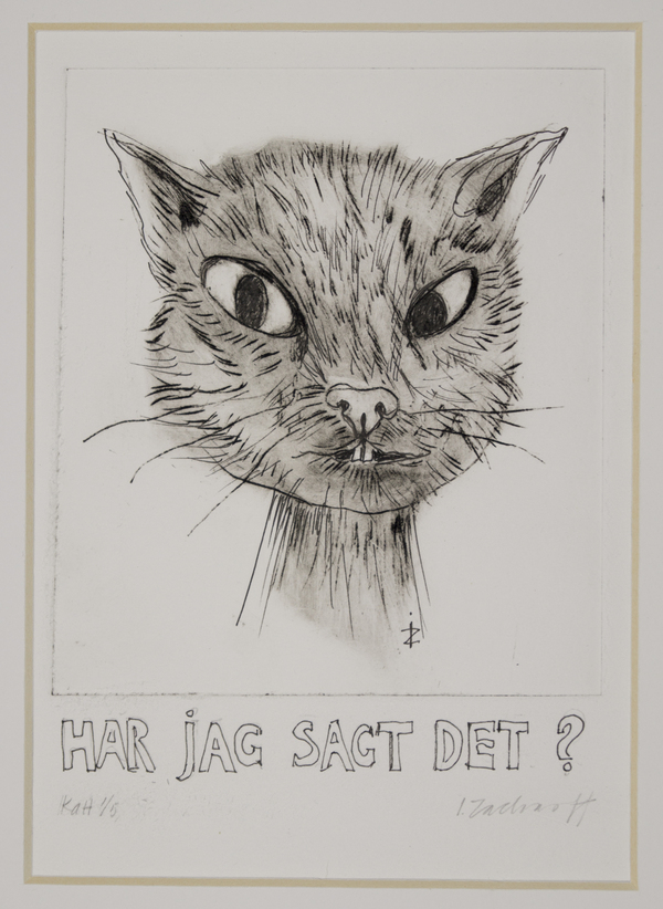 katt