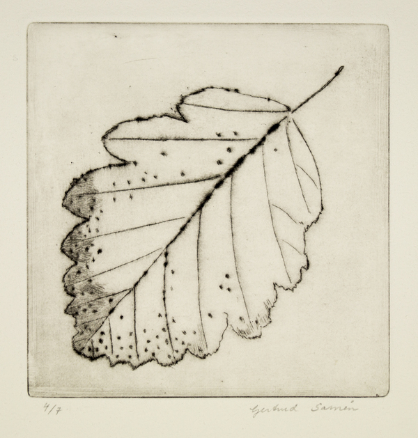 Oxelblad