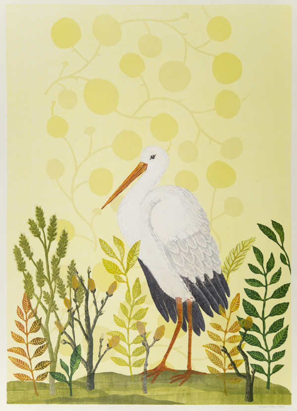 Stork