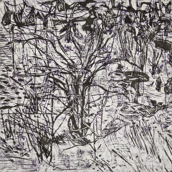 Berget, 2016 variation D