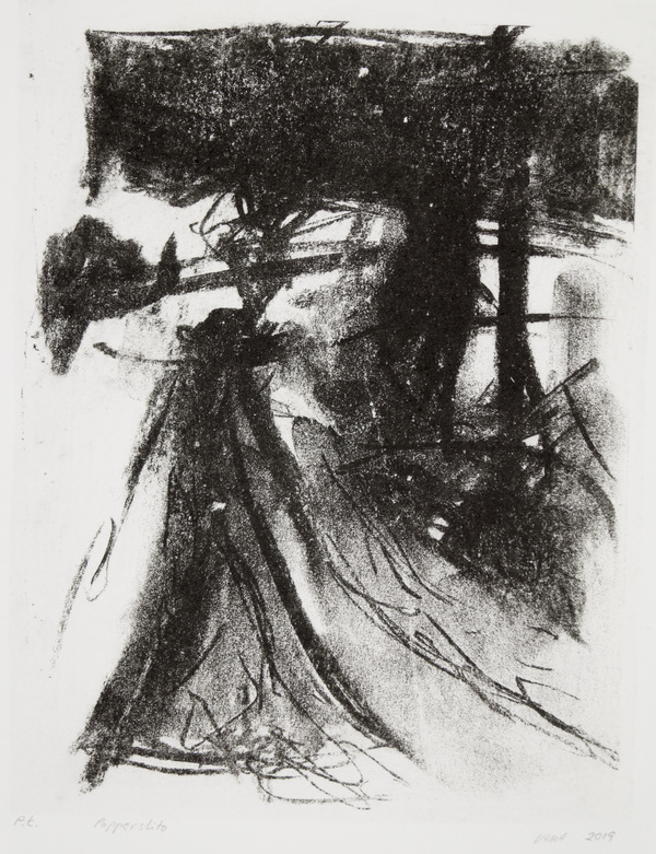 Utan titel, 2019 A
