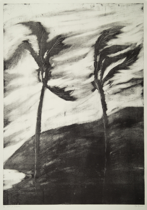 Storm på St. Barths