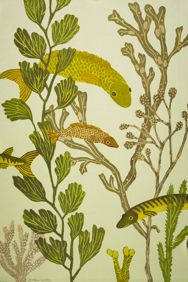 Fiskar