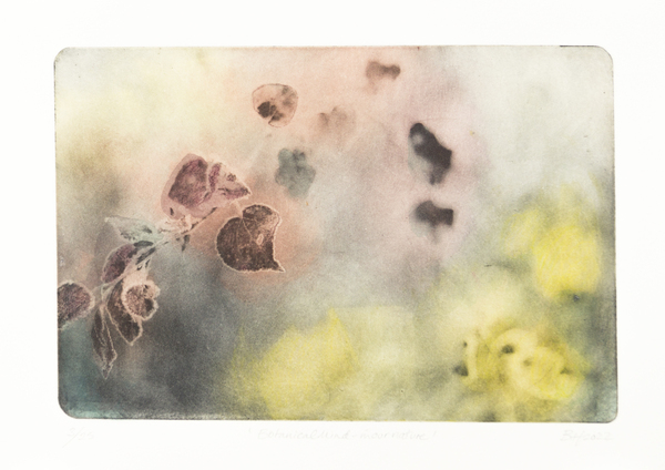 Botanical mind (in our nature)