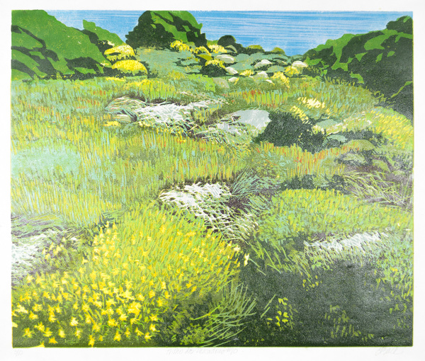 Trilho dos Pescadores #10